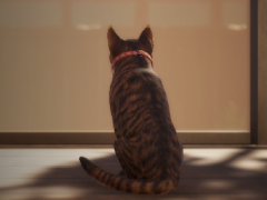 �ֶᵦ�����Τ�����ˤĤ��ơ����Ԥ����ʥꥪ���ݤ��롤ǭ����͸��Υۥ顼������֤ޤ�ǭ��ƨ���ޤ������ס�10��27����ȯ��