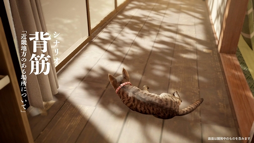 ���������꡼ No.002�Υ���ͥ������ / ǭ�ȤʤäƸ�̱�Ȥ�õ���������ޤ��ޤ���ο�������롣�֤ޤ�ǭ��ƨ���ޤ������ס�Steam��������꡼��