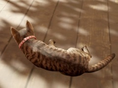 ǭ�ȤʤäƸ�̱�Ȥ�õ���������ޤ��ޤ���ο�������롣�֤ޤ�ǭ��ƨ���ޤ������ס�Steam��������꡼��