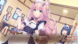 ꡼ No.005 | NEKOPARA After