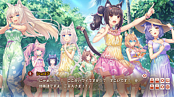 ꡼ No.007 | NEKOPARA After