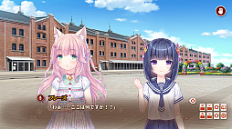 ꡼ No.008 | NEKOPARA After