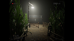 What Happened to Lily?