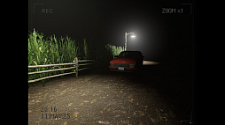 What Happened to Lily?