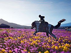 11��4���Υ����꡼���������ǥ�꡼�������ꤷ����Windstorm: The Legend of Khiimori�פΥץ쥤�ǥ������å�����󥴥���������ȤȤ���ͺ������Ϥ�������gamescom��