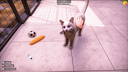꡼ No.016 | Animal Shelter 2