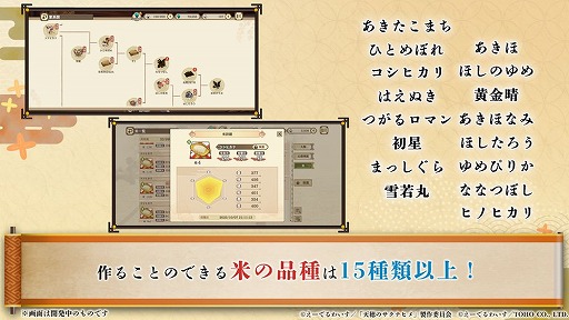 ���������꡼ No.030�Υ���ͥ������ / ��ŷ��Υ����ʥҥ���ҥ̥����������׸����������Ǻǿ�PV�ȥ����ƥ�������餫�ˡ��֥����ҥ���פʤɡ��ºߤ����Ƥ��ʼ郎�о�