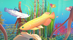 ꡼ No.001 | Fishplay