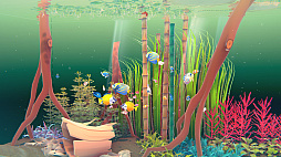꡼ No.003 | Fishplay