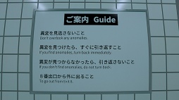 ���������꡼ No.005�Υ���ͥ������ / �˿��ǥ����ΤΥ�����ҥҥ硼 ��������855��֤��֤���𤬸�����