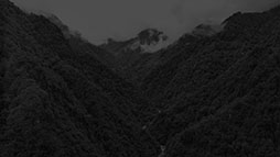 ���������꡼ No.043�Υ���ͥ������ / ������꡼�ץ�ΤΥ��Х��Х�ۥ顼ADV���̷����ʤ����ĤΤ��ˡס�Switch�������ʤȤ���2026ǯ1��29����ȯ�����