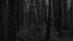 ���������꡼ No.045�Υ���ͥ������ / ������꡼�ץ�ΤΥ��Х��Х�ۥ顼ADV���̷����ʤ����ĤΤ��ˡס�Switch�������ʤȤ���2026ǯ1��29����ȯ�����