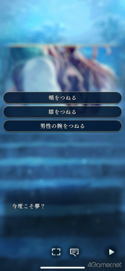 ���������꡼ No.004�Υ���ͥ������ / �Υץ쥤��ݡϥ��꡼���ǿ���������ʤ��������� ζ�ܤο��ҡס�Ȭ�դȤδط������Ť�������ź������������������̤ʻ��֤��θ�