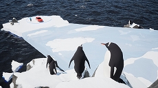 ���������꡼ No.007�Υ���ͥ������ / �鷺���ʥߥ��Ǽ֤���ȯ��2�Ͷ�����֥������Parking Together!�ס�9��18����Steam�ǥ�꡼������