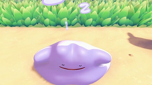 ���������꡼ No.006�Υ���ͥ������ / �˥󥲥���ѿȤ����᥿���Ȥʤꡤ�ݥ���󤿤��ȤΤۤΤܤ���餷��ڤ����֤ݤ� �� �ݥ�����ȯɽ��Switch2������2026ǯ��ȯ��