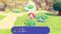 ���������꡼ No.011�Υ���ͥ������ / �˥󥲥���ѿȤ����᥿���Ȥʤꡤ�ݥ���󤿤��ȤΤۤΤܤ���餷��ڤ����֤ݤ� �� �ݥ�����ȯɽ��Switch2������2026ǯ��ȯ��