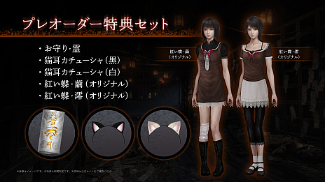 ���������꡼ No.039�Υ���ͥ������ / �����ۥ顼�������Ȥ�ĳ�� REMAKE�פϡ�2026ǯ3��12����ȯ�䡣��ȯ��Team NINJA��ô�����������Υ�������󤬳ڤ����