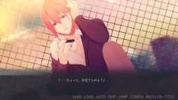 Ǥ椯˲«Bouquet for you in the dark