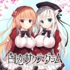 �ѥå�����