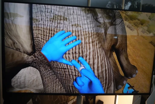 ���������꡼ No.006�Υ���ͥ������ / ���Ĥ���ưʪ���Ť���VR�������WILDLIFE DOCTOR�פ���ǥץ쥤���������ȴ��������¥�����פ�������ߺ��TGS2025��