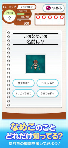 ���������꡼ No.001�Υ���ͥ������ / ������������֤ʤᤳ�ɥ��ס�������꡼�����֤ʤᤳ���ݥ��åȡץ��꡼�����о줹�롤�ʤᤳ�����˴ؤ��������򤳤�