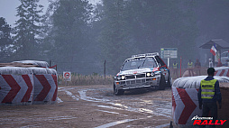 ꡼ No.008Υͥ / ꡼Assetto Corsa Rallyס1114ǤSteamۿ꡼ζĥ׾촶¸ʬ̣廊