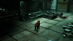 Meowmories -meowmare adventure-