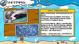 画像ギャラリー No.007のサムネイル画像 / 「いつでも伊勢シーパラダイス 距離感ゼロの水族館図鑑」,本日発売。生き物たちや水族館について学べるゲーム