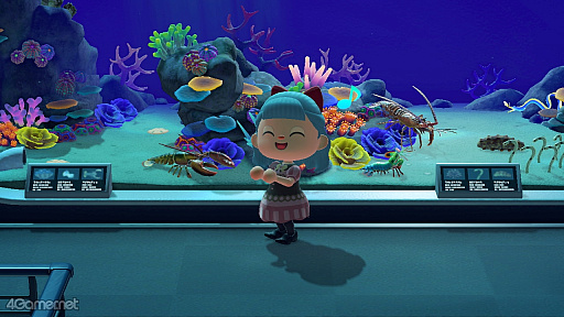 ���������꡼ No.020�Υ���ͥ������ / ̵����Ǽ�ʬ�Ρֹ����פ���ˤ�����餷���֤��Ĥޤ� �ɤ��֤Ĥο��פǳڤ��ࡤ����������äȳڤ����ʤ�ϥåԡ��䤷��饤��