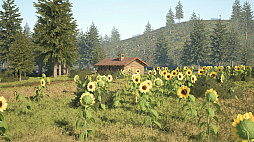 ꡼ No.019 | Caravanners