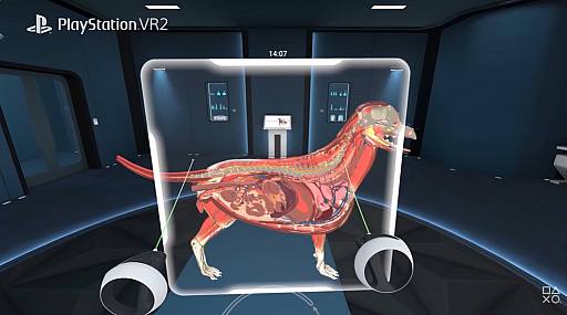 画像ギャラリー No.002のサムネイル画像 / VR解剖学アプリ「Animal Anatomy」,PS VR2とMeta Quest向けにリリース。精細に再現されたモデルで,動物の体をより深く知る