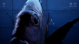 OKAZU �������ο����������륲����