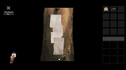 画像ギャラリー No.005のサムネイル画像 / 孤島を舞台に謎の物体を調査するポイント&クリック型探索型サバイバルホラーADV「The Dream Of A Cockspur」,2026年内に配信決定