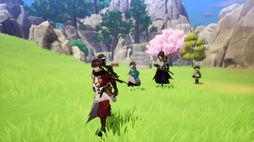 ζ�ι� �롼��ե����ȥ꡼