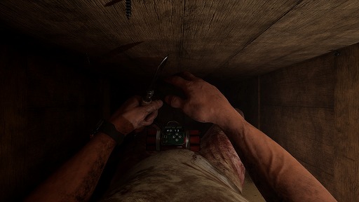 画像ギャラリー No.001のサムネイル画像 / 目が覚めたら,そこは棺の中。立つこともままならない閉鎖空間からの脱出を目指す,新作謎解きホラーADV「SINVAULT」が2026年1月1日発売へ