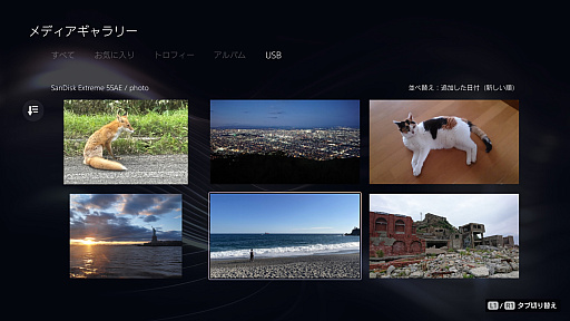 ꡼ No.008Υͥ / PS5ȯ5ǯ̼ۡΥޥǡ˲Ŭʥ饤դ