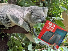 ȥꥢں߼ԤɡNintendo Switch 2פϤäƤߤܤȤΰ㤤Ϥɤʴȥ⤤&#x1f428;&#x1f428;