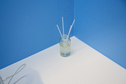 ���������꡼ No.005�Υ���ͥ������ / �ֶ����ʼ��ϥХդˤʤ�׶����Ķ����󥵥륿��ȤΥ���⥢�����Ÿ�������ȥ�����ѥե����ޥ󥹤δط���֡������θ���TGS2025��