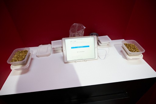 ���������꡼ No.006�Υ���ͥ������ / �ֶ����ʼ��ϥХդˤʤ�׶����Ķ����󥵥륿��ȤΥ���⥢�����Ÿ�������ȥ�����ѥե����ޥ󥹤δط���֡������θ���TGS2025��