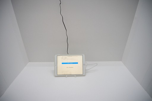 ���������꡼ No.007�Υ���ͥ������ / �ֶ����ʼ��ϥХդˤʤ�׶����Ķ����󥵥륿��ȤΥ���⥢�����Ÿ�������ȥ�����ѥե����ޥ󥹤δط���֡������θ���TGS2025��