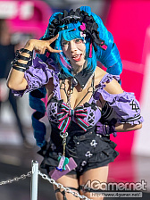 ���������꡼ No.186�Υ���ͥ������ / TGS 2025 ����ѥ˥���������ץ쥤�䡼�̿�����ZIP�ե�����ʤ��ˤ��Ϥ���6ǯ�֤��420�硤���Ѥ��Ԥ����������ޤ����ġġ�