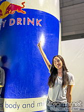 ���������꡼ No.259�Υ���ͥ������ / TGS 2025 ����ѥ˥���������ץ쥤�䡼�̿�����ZIP�ե�����ʤ��ˤ��Ϥ���6ǯ�֤��420�硤���Ѥ��Ԥ����������ޤ����ġġ�