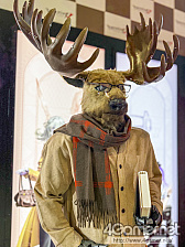 ���������꡼ No.274�Υ���ͥ������ / TGS 2025 ����ѥ˥���������ץ쥤�䡼�̿�����ZIP�ե�����ʤ��ˤ��Ϥ���6ǯ�֤��420�硤���Ѥ��Ԥ����������ޤ����ġġ�