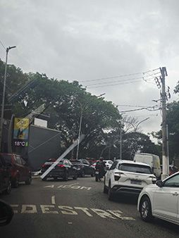 ���������꡼ No.001�Υ���ͥ������ / ��Brazil Game Show 2025�׳��롪������ȯɽ�Ȥ������֥����๥���Τ���Τ��פ�פȤ��ä�ʷ�ϵ�����30���ͤΥ�����ե���򤪤�Ƥʤ�