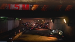 ���������꡼ No.038�Υ���ͥ������ / ������ȳ�����̾�ͤ�ʹ��2017ǯ�ο����֤��2018ǯ�ؤ����顣��ǯ�ϲ���¿��182��