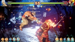 ���������꡼ No.046�Υ���ͥ������ / ������ȳ�����̾�ͤ�ʹ��2017ǯ�ο����֤��2018ǯ�ؤ����顣��ǯ�ϲ���¿��182��