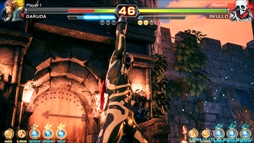 ���������꡼ No.048�Υ���ͥ������ / ������ȳ�����̾�ͤ�ʹ��2017ǯ�ο����֤��2018ǯ�ؤ����顣��ǯ�ϲ���¿��182��