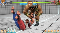 ���������꡼ No.049�Υ���ͥ������ / ������ȳ�����̾�ͤ�ʹ��2017ǯ�ο����֤��2018ǯ�ؤ����顣��ǯ�ϲ���¿��182��