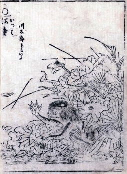 ���������꡼ No.003�Υ���ͥ������ / �ڲƵ٤ߤ��ɤߤ�δ��ۥۥ顼������ˤƥ���Ӱʳ��Τʤˤ��ɤ�������줿�����򤤤������ܤ��Ų����椫��ͤ��Ƥߤ���