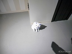 画像集#006のサムネイル/ナンジャタウン園内に新街区がオープン! “スキ”をギュッと詰め込んだ「Hugood!街区」メディア内覧会をフォトレポート